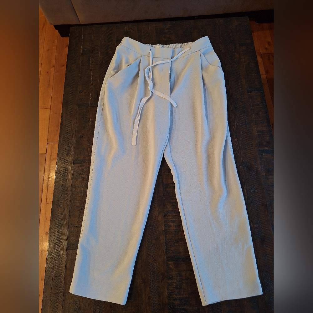 Womens Aritzia Trousers In Light Grey